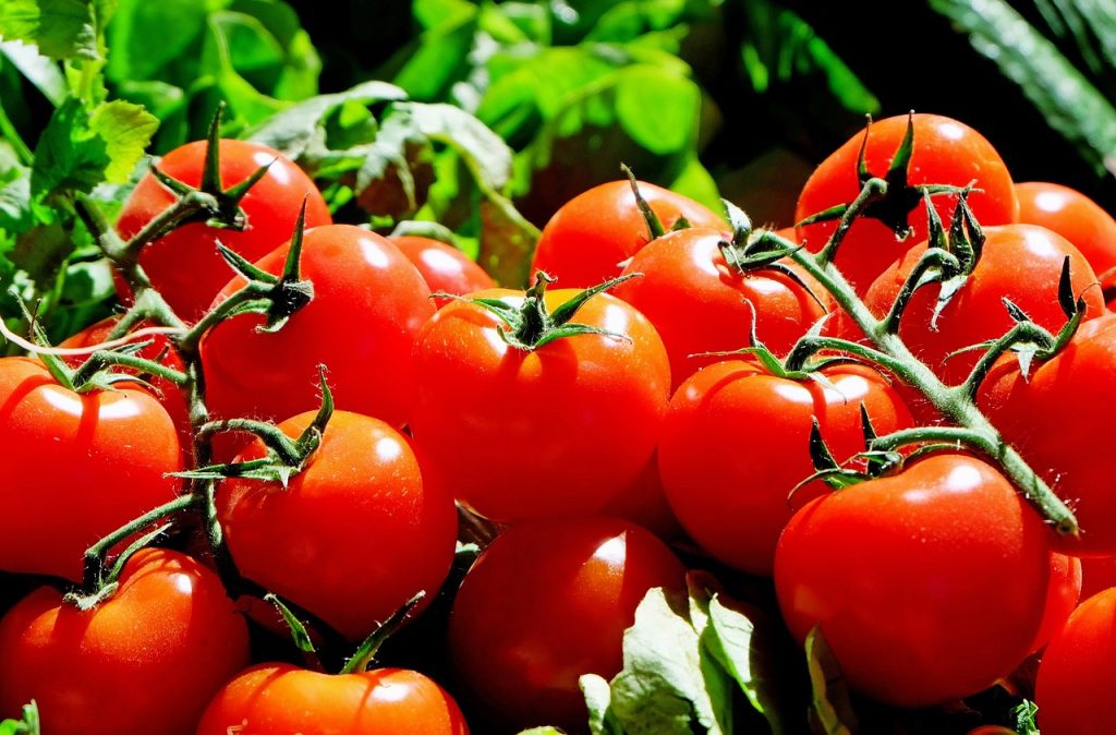 Hoeveel vitamine zitten er in tomaten?